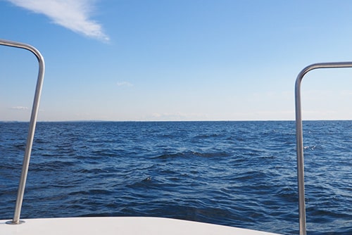 散骨地点に到着