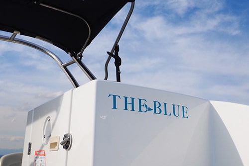 散骨式のクルーザー